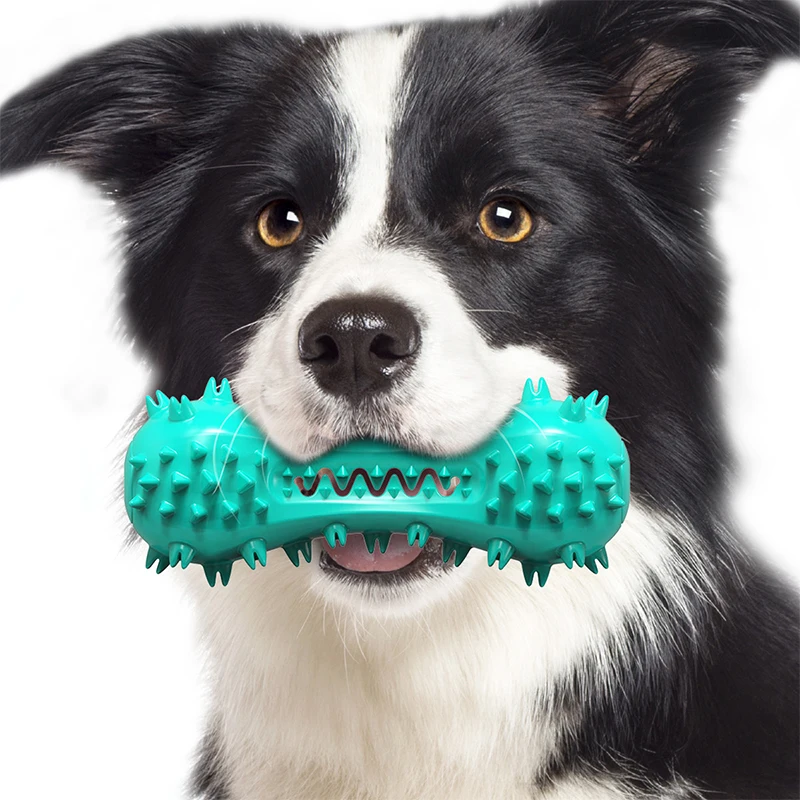 

Vocal Toy Dog Teeth Grinder Bone Gnawing Dog Toothbrush Dogs Toothbrush Doggy Puppy Dental Care Dog Pet Puppies