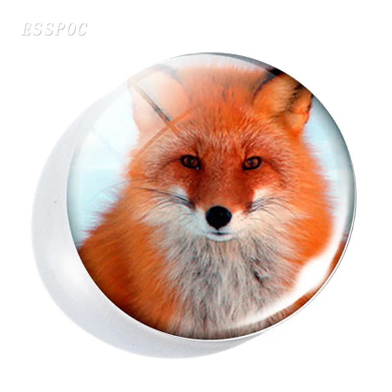 5 шт./лот подвеска ручной работы с изображением беатрикса Поттера стеклянный