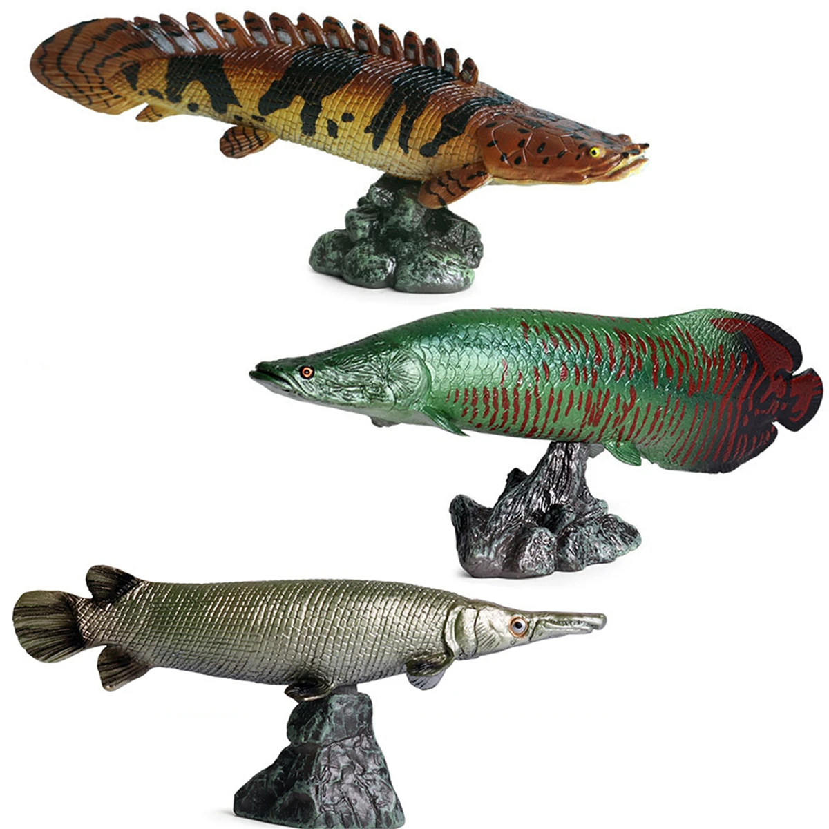 Figuras de animales de peces salvajes de 3 piezas, polpterus delhezi Arapaima, gigas, piraruccu, Cocodrilo, Gar, Atractosteus, espátula, modelo educativo, juguete