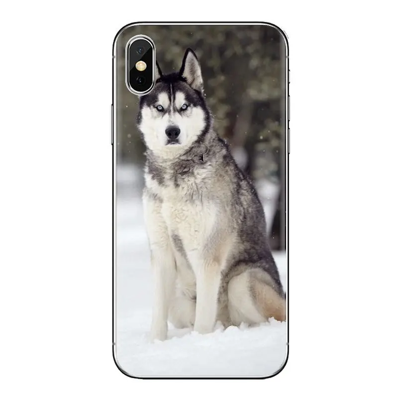 Для iPhone XS Max XR X 4 4S 5 5S 5C SE 6 6S 7 8 плюс samsung Galaxy J1 J3 J5 J7 A3 A5 Собака Хаски прозрачный