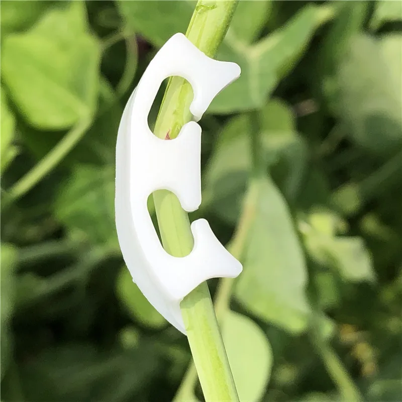 50 шт./лот овощи помидор крепежные зажимы для того чтобы предотвратить изгиб руки