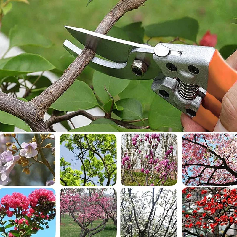 

HOT 8 inch Bypass Pruning Shears,Gardening Shears,Garden Shears,Garden Clippers,Hand Pruners,Garden Tools Orange