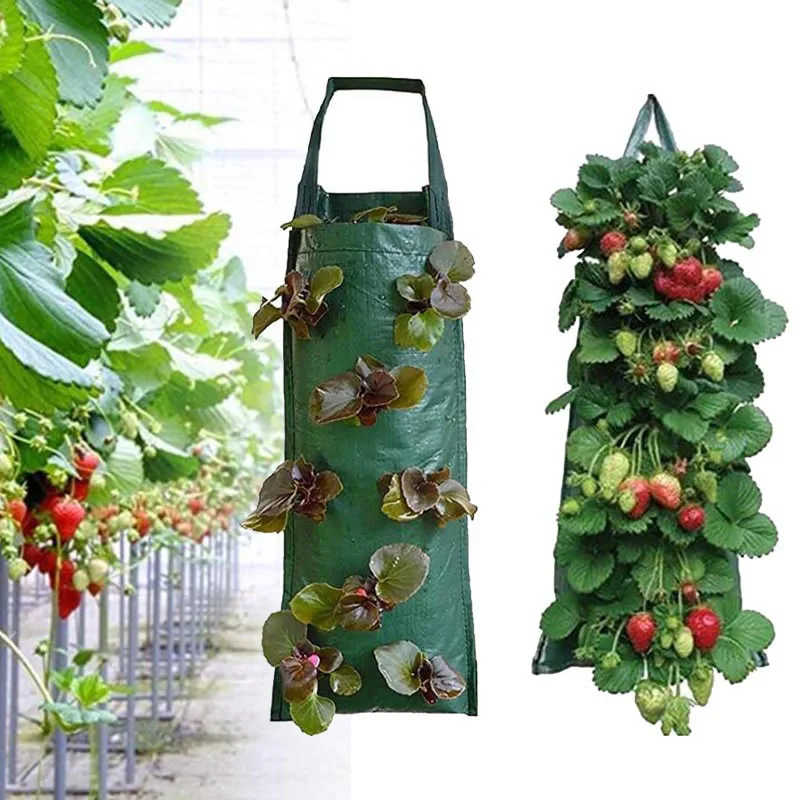 

4 8 Pockets Strawberry grow pot vertical Garden Plant Bags Planter Planting PE wall hanging Potato Plants For Veg Herb Flower s1