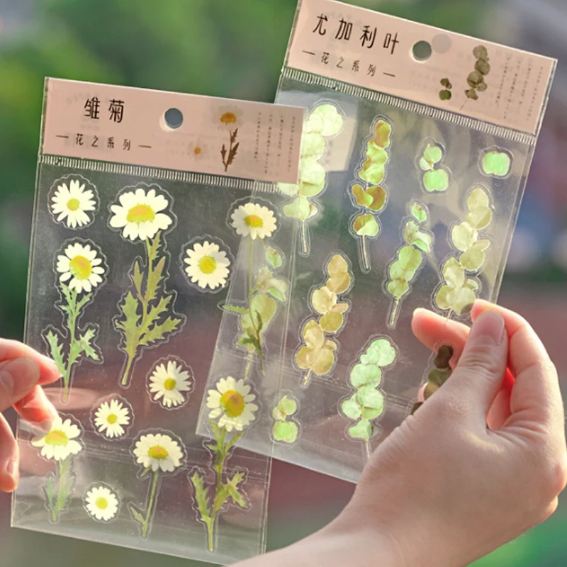 12 видов конструкций природные стикеры прозрачная ПЭТ Материал Цветы Листья