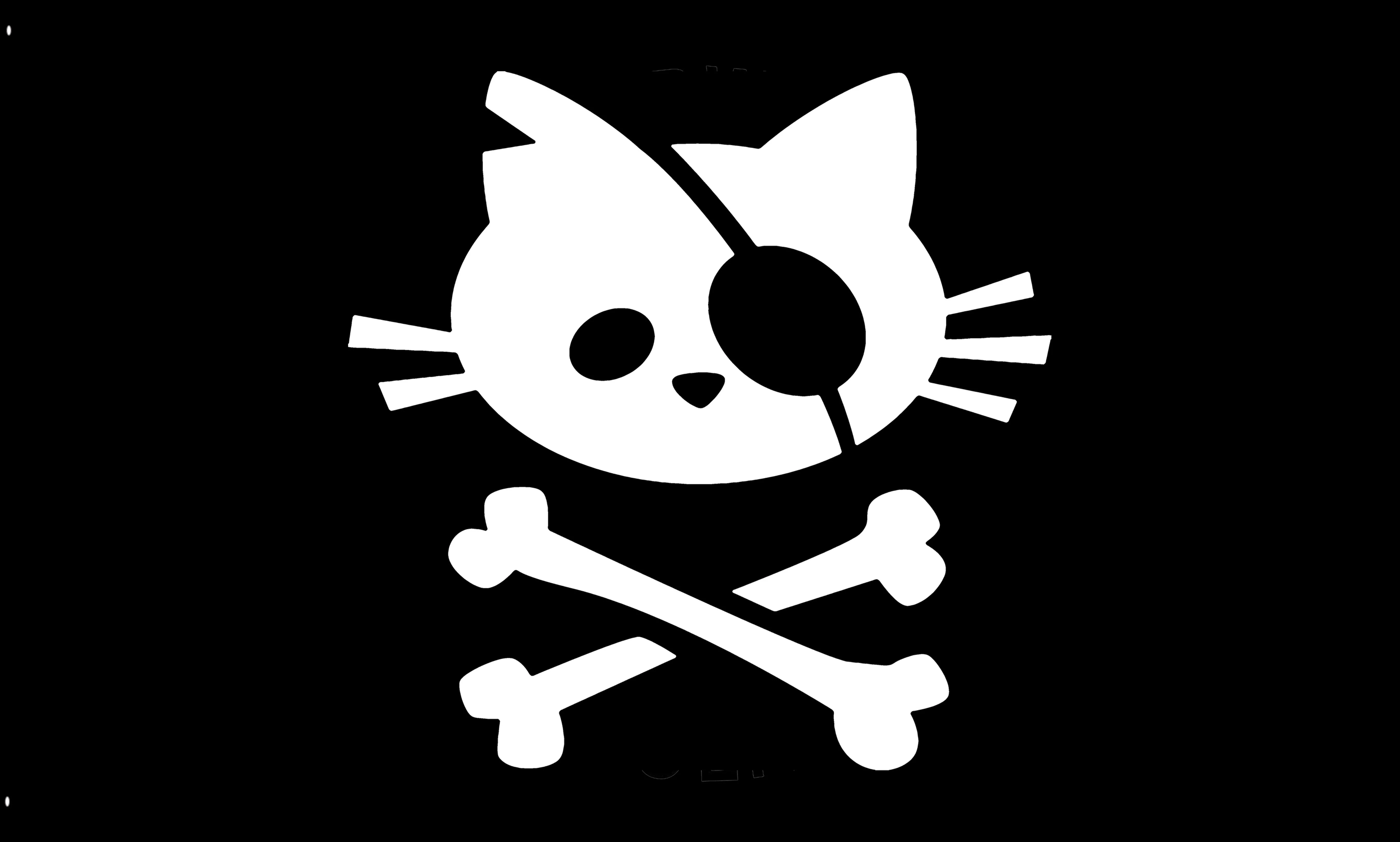 

Hot Sale 3d Printing Customization Skeleton Cat Flag 90x150cm 120x180cm