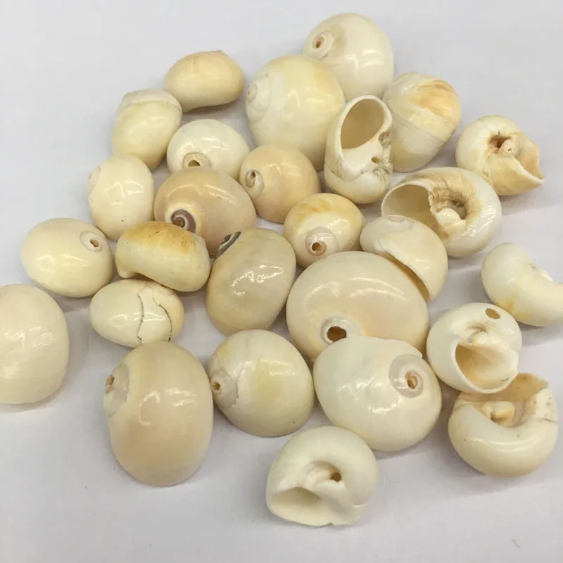 

Natural shell fashion conch Pendants Charms Necklace pendant for Jewelry Making DIY Bracelet Necklaces Accessories Size 15x18mm