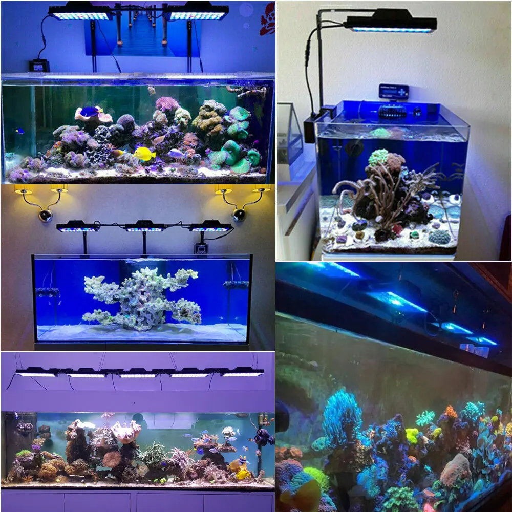

Aquarium Lighting Controller Aquarium Led Light Lamp For Aquarium Marine Coral Reef Grow Light Fish Tank Bulb Turing30