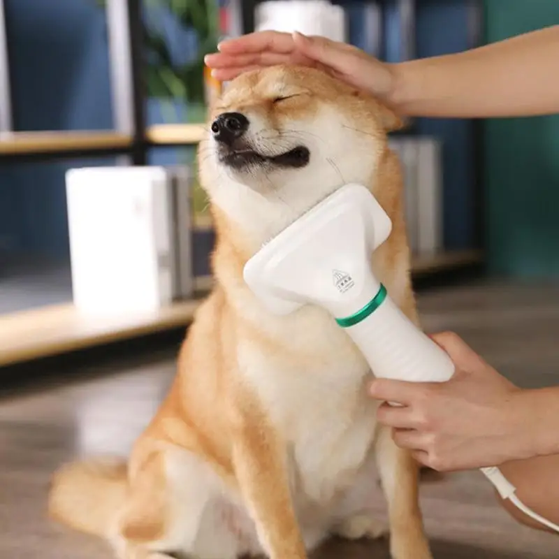 

2-In-1 Portable Dog Hair Dryer And Comb Brush For Home Pet Grooming Cat Hair Comb Dog Fur Low Noise Blower