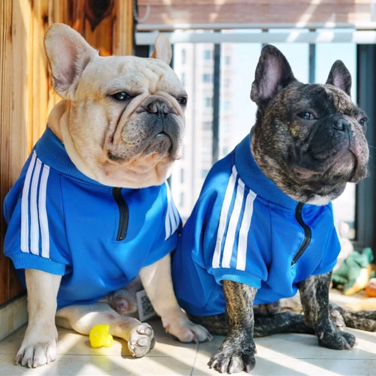 Милая летняя одежда для собак среднего и синего цвета Shih Tzu дешевая маленьких