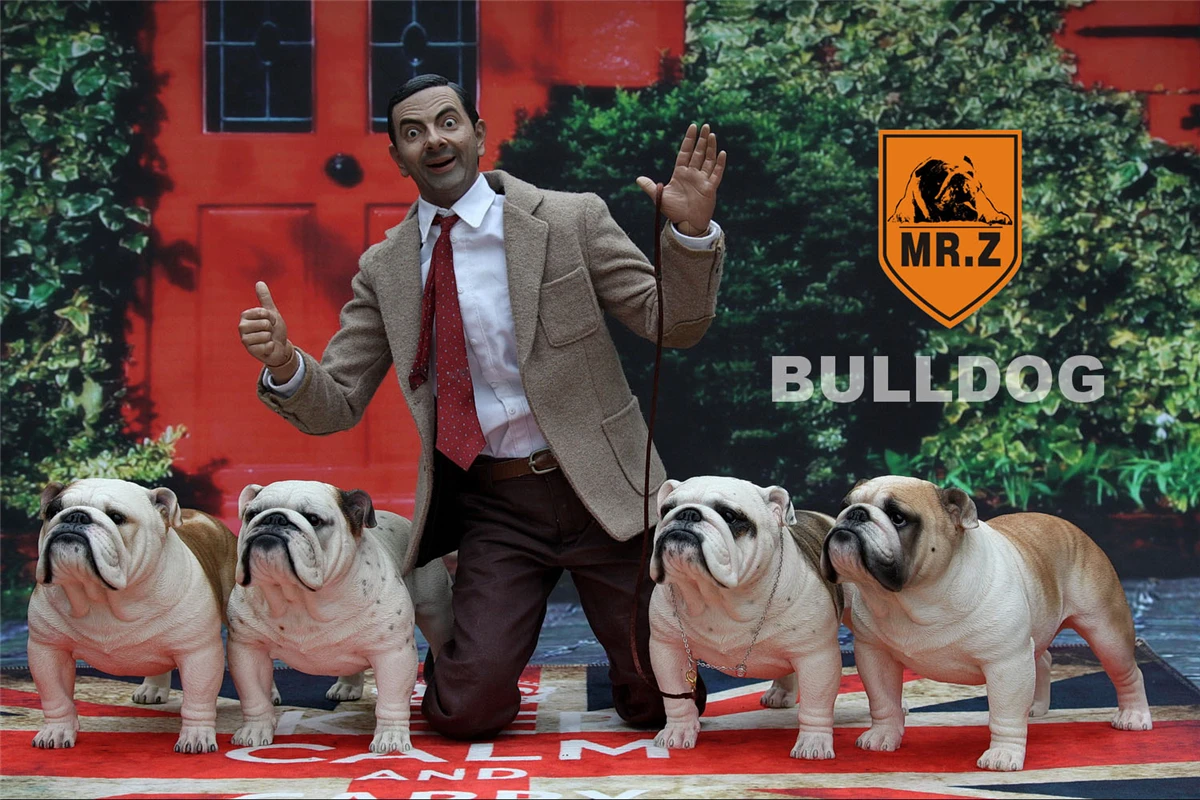 

Mr.Z 1/4 Pet British Bulldog Bull Dog Animal Model Desktop Trinkets Figure Decor Toy Ornaments Children Adult Kids GK Xmas Gift