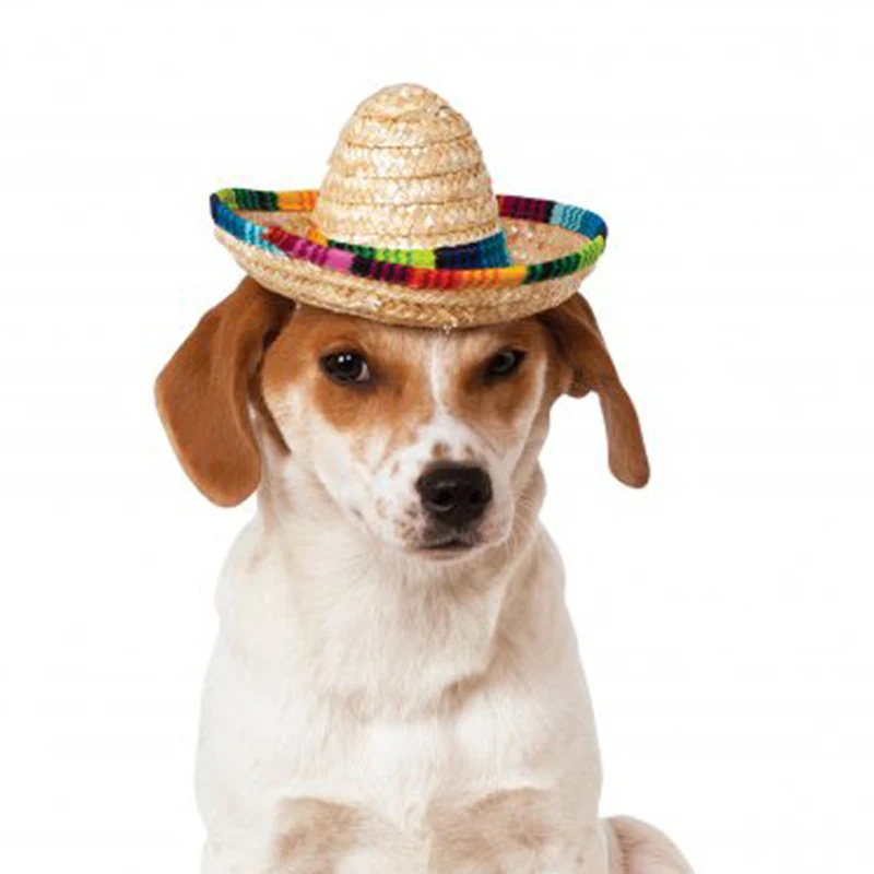 Соломенная шляпа для домашних животных крутая летняя шапка от солнца собак и