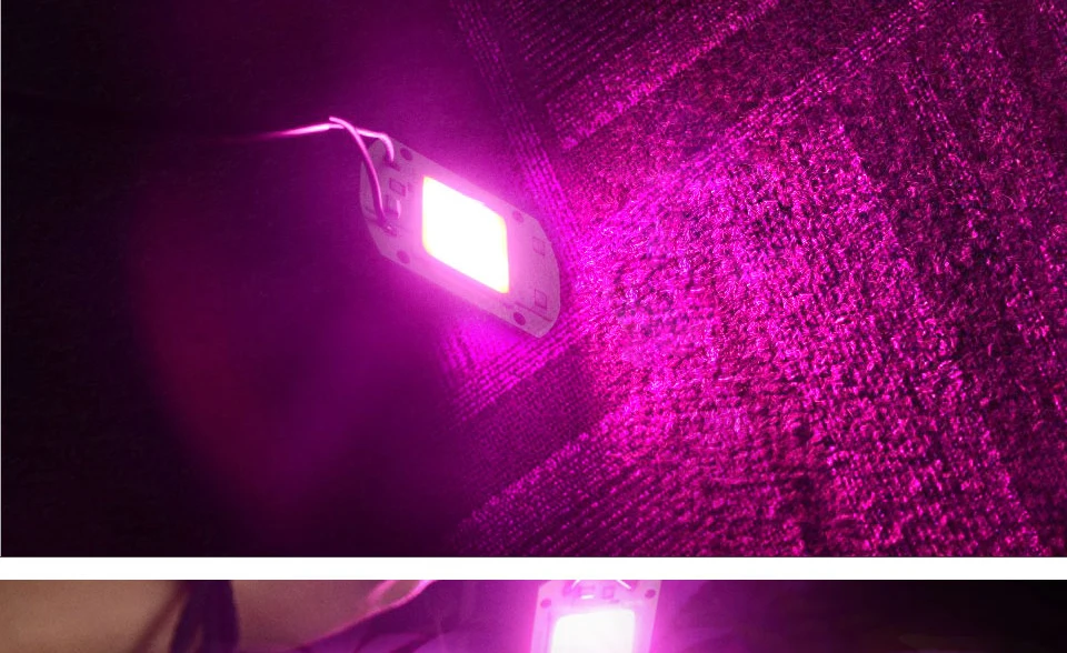 COB Led лампа для выращивания света чип полный спектр 220 В 110 В 20 Вт 30 Вт 50 Вт 380-780нм фитолампа для комнатных растений рассады цветок фитолампи