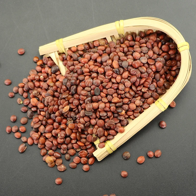 

Suan Zao Ren, Semen Ziziphi Spinosae, Spina Date Semen, Sour Jujube Semen