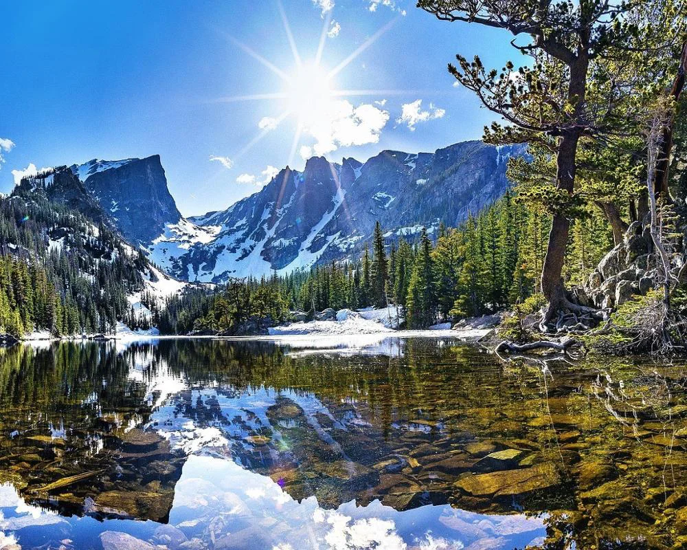 Набор для рисования по номерам кленовый лист парк пейзаж акриловая краска озеро