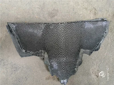 Красочные подлинные ската натуральный manmanta Ray рыбьей кожи штук для DIY кожа ремесленные часы ремень нож ручка материал 1,5 мм - Color: Grey