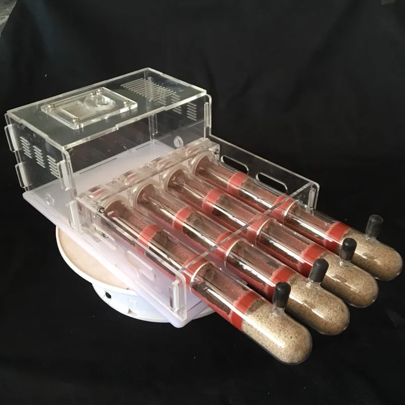 

Оригинальное гнездо для тубы, большое плоское Муравьиное гнездо, бамбуковое гнездо, акриловое Муравьиное гнездо, острые муравьиные гнезда