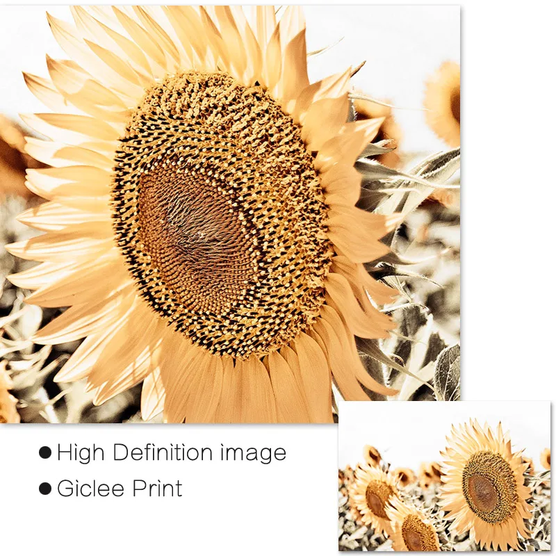 Настенный постер с розовыми маками и лавандовыми цветами скандинавский