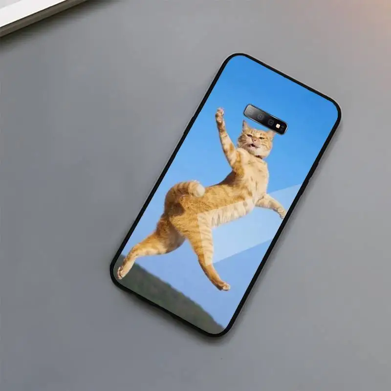 

Funny Kitten Cat cute animal Phone Case Tempered glass For Samsung S6 S7 edge S8 S9 S10 e plus note8 9 10 pro