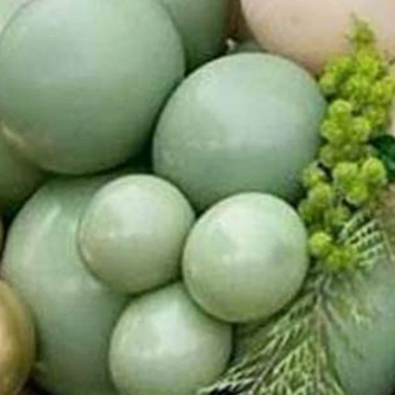 

100Pcs Green Balloons Olive Green Balloons Eucalyptus Party Latex Balloon 12 Inch for Women Men Birthday Baby Wedding