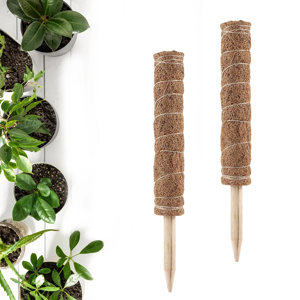 

Plant Climbing Pole Coir Moss Stick Coir Moss Palm Vines Stick Plant Support Extension Climbing For Indoor Garden Plants Home us