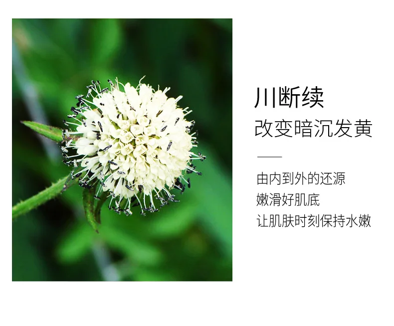 Teasel repair Сыворотка для лица отбеливающая жидкость усадка пор уход за кожей корейский макияж подтяжка кожи удаление темных пятен
