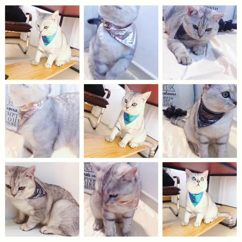 Светильник шарф-ошейник для собак и кошек Большие Стандартные нагрудники щенков