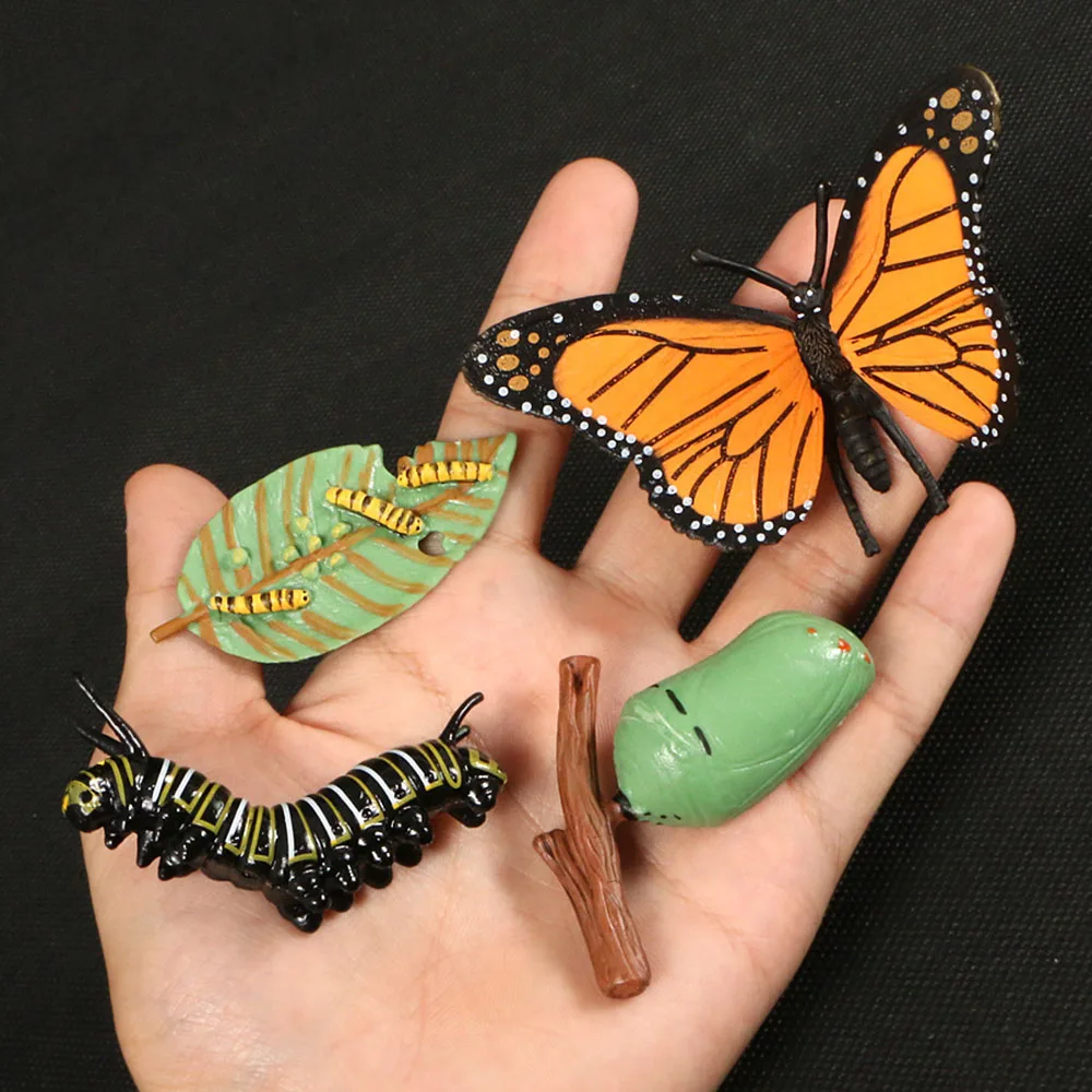 

Children Puzzle Learning Model Toy Simulation Animal Growth Cycle Butterfly Frog Chicken Life Cycle Doll Action Figures Kids Toy