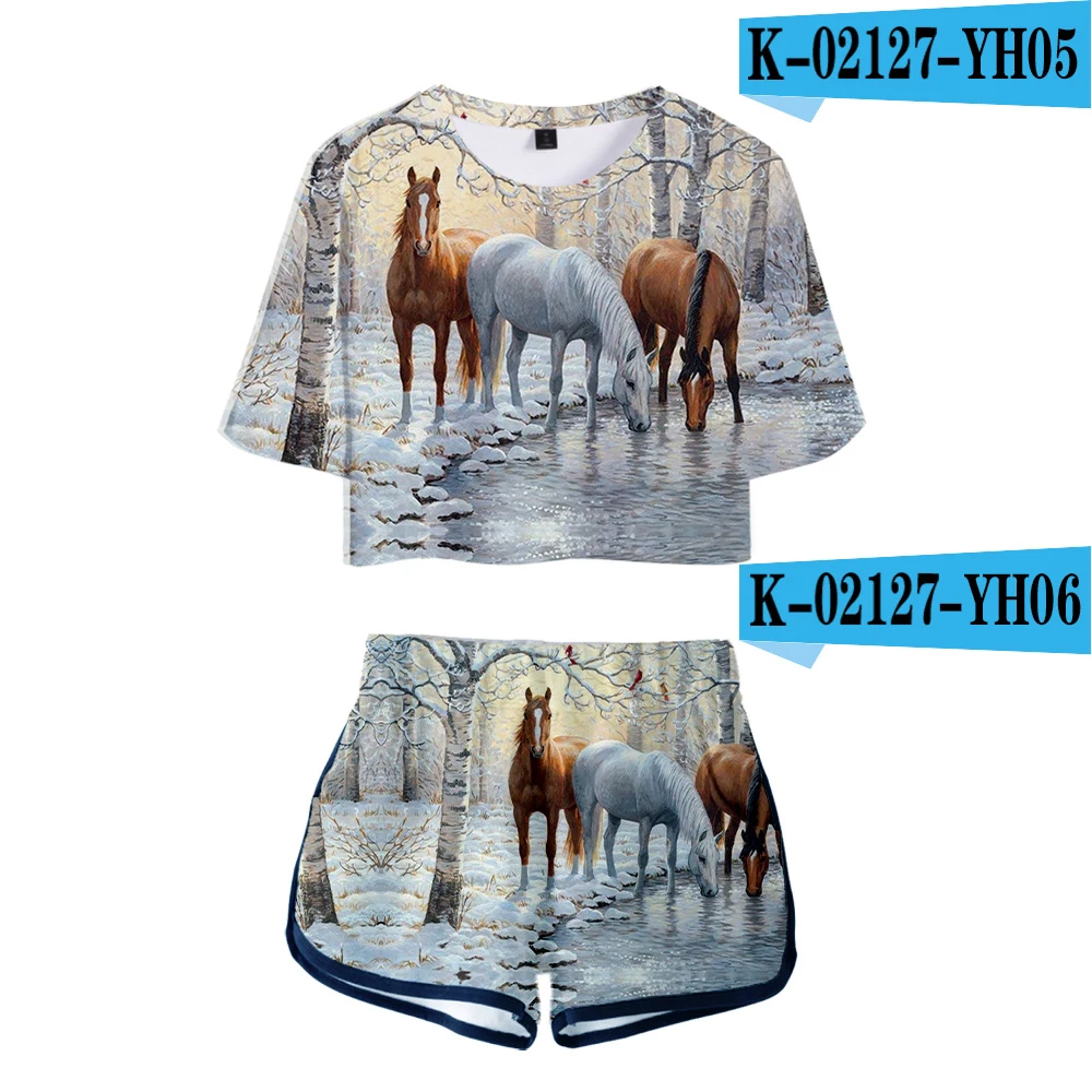 

Harajuku sexy Leopard Print Two piece Sets Women's shorts suit Tops Shorts Leopard Print T-SHIRT Winter Lady Hem Shirts