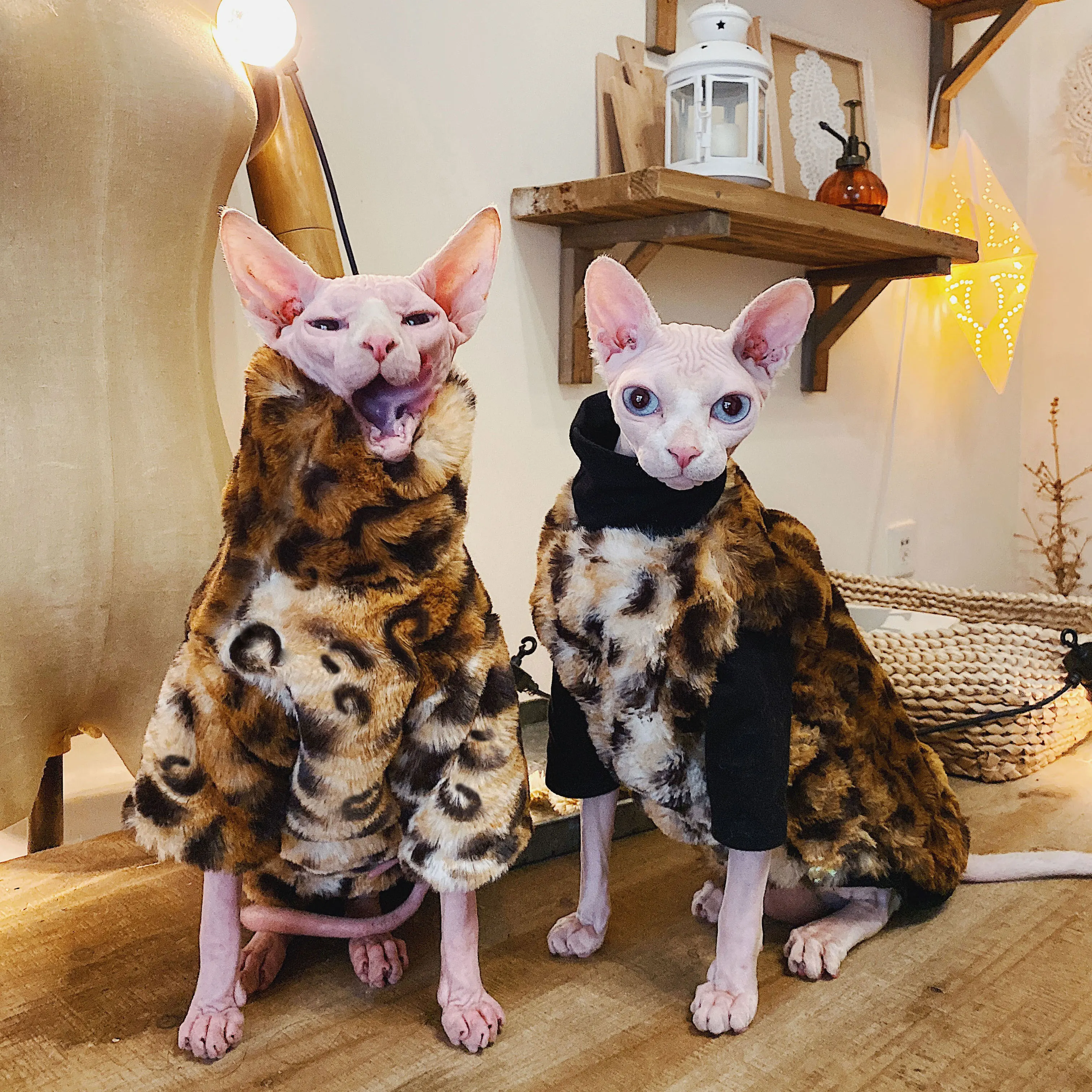 

Hairless Cat Clothes Clothing Sphinx Devon KONIS Vest Winter Warm Mink Leopard Pattern Coat Clothing for Cats