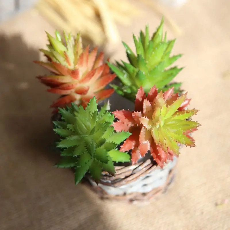 Artificial Succulents Plants Green Purple Red White Blue Flocking Home Garden Decoration Plastic Mini Desktop Bonsai | Дом и сад