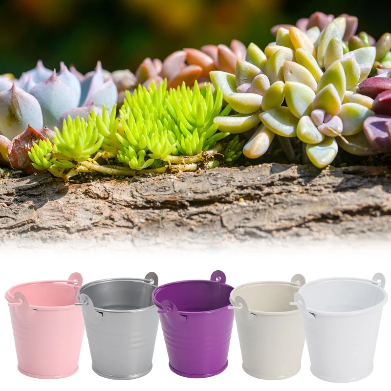 

Mini Flower Pot Metal Barrel Plant Succulent Plant Flowerpot Home Office Decor