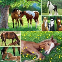 5d diy diamond painting horse cross stitch kit full drill square embroidery mosaic art picture of rhinestones home decoration