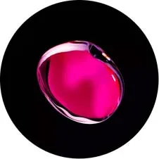 Colour 1 Мандала Цветок для женщин девочек прекрасный держатель мобильного телефона легко руки палец гнездо для захвата ленивый любимый телефон Аксессуары - Цвет: Colour 1