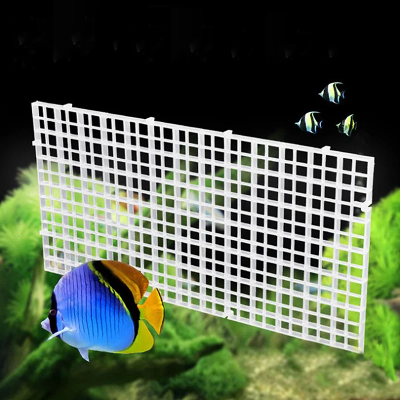 

Filter Bottom Isolate Pane Fish Durable Plastic Partition Grid Fish Grid Divide