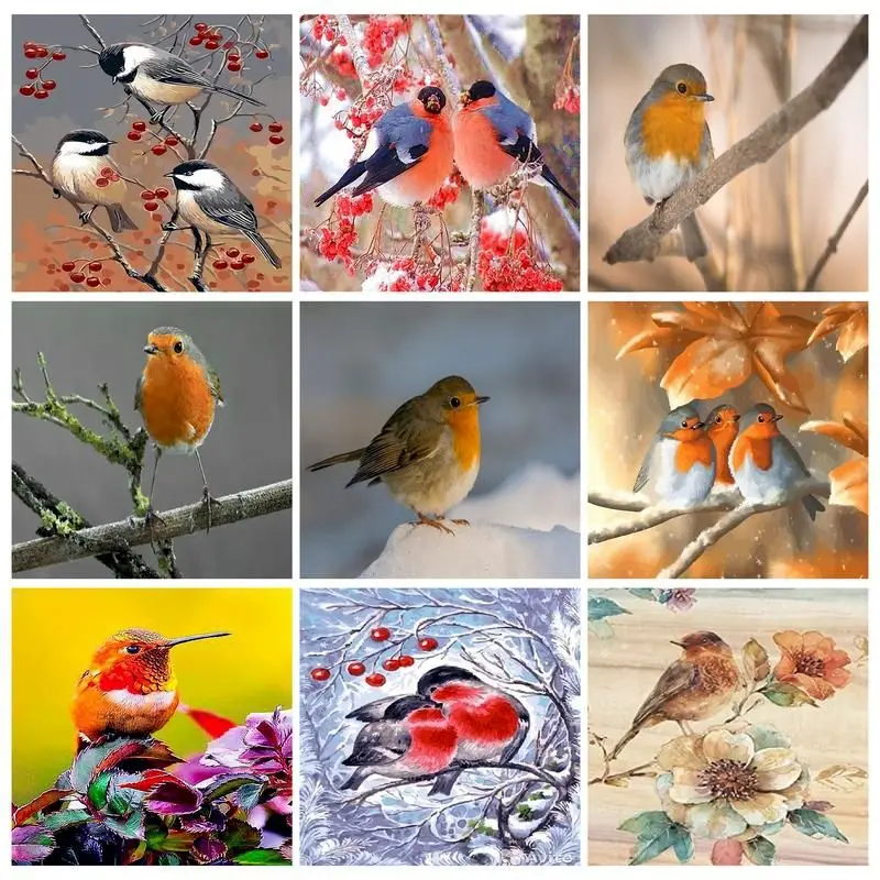 

SDOYUNO Paint By Numbers Kits On Canvas Birds DIY Frameless 60x75cm Oil Painting By Numbers Animals Hand Painting Draw Numbers