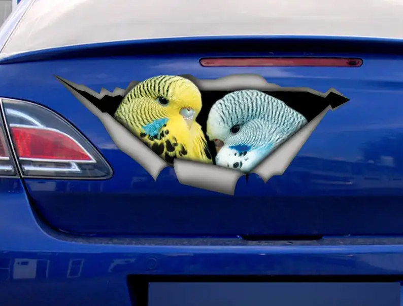 

2021 Yellow and Blue Budgie birds car decal, blue budgie sticker,yellow budgie decal