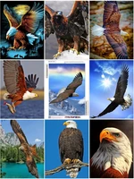 full round fly eagle diamond painting crafts kit round diamond embroidery cross stitch home decoration best gift