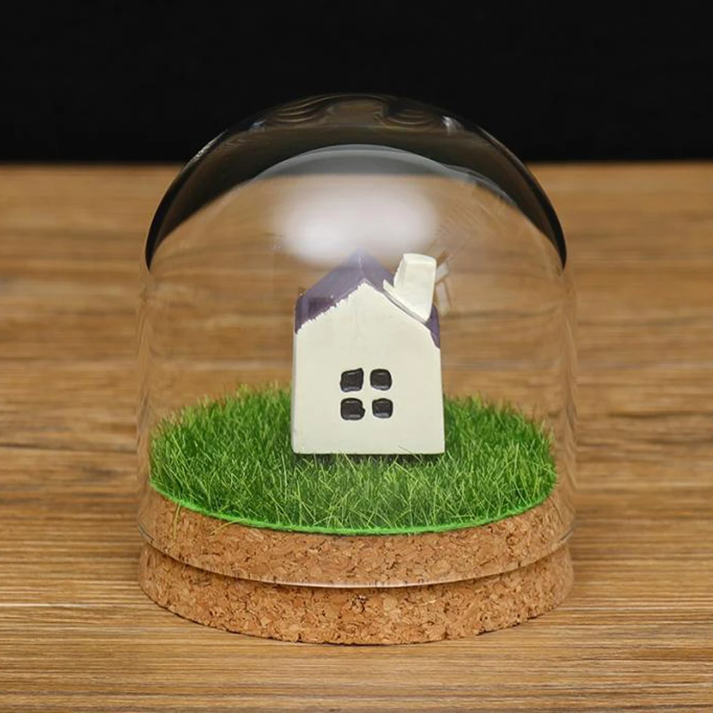 Прозрачная стеклянная крышка купольной крышки колокольчика сочные террариумы с