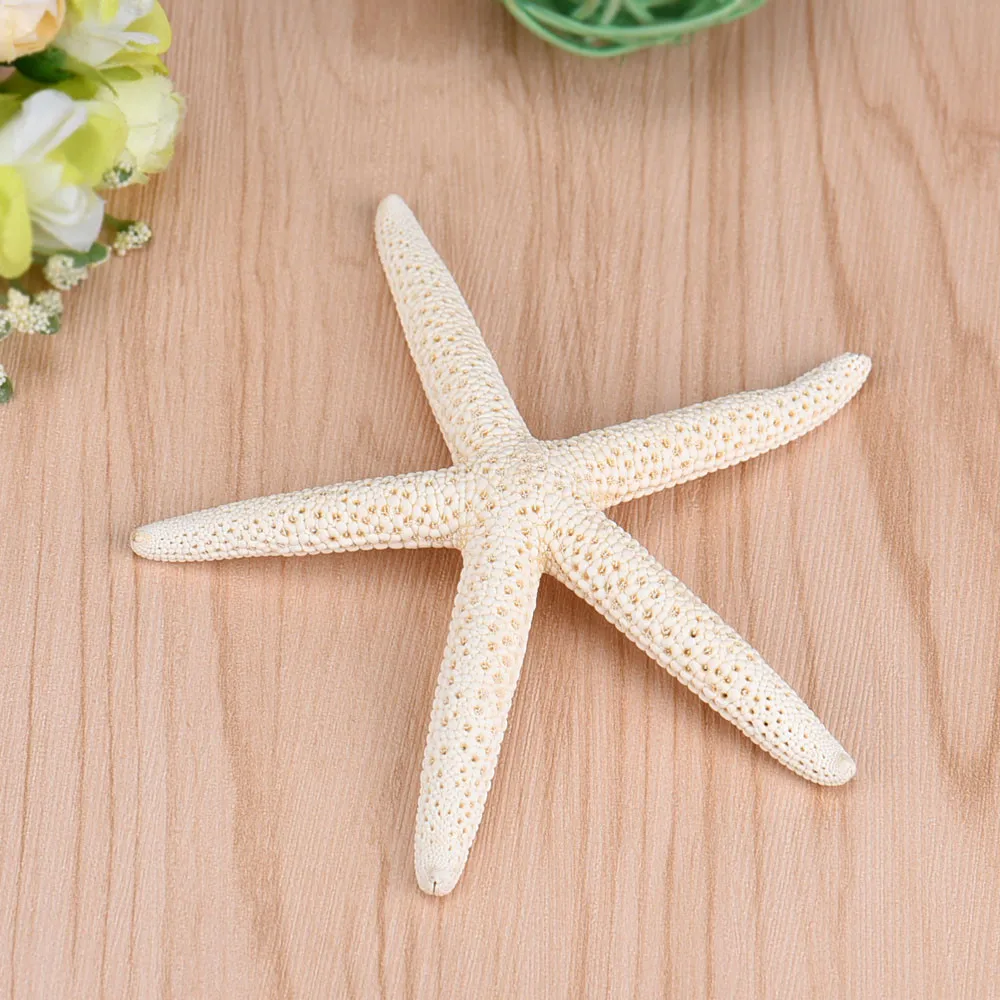 

1 Piece 10-12cm White Natural Finger Starfish Craft Decoration Natural Sea Star DIY Beach Cottage Decor