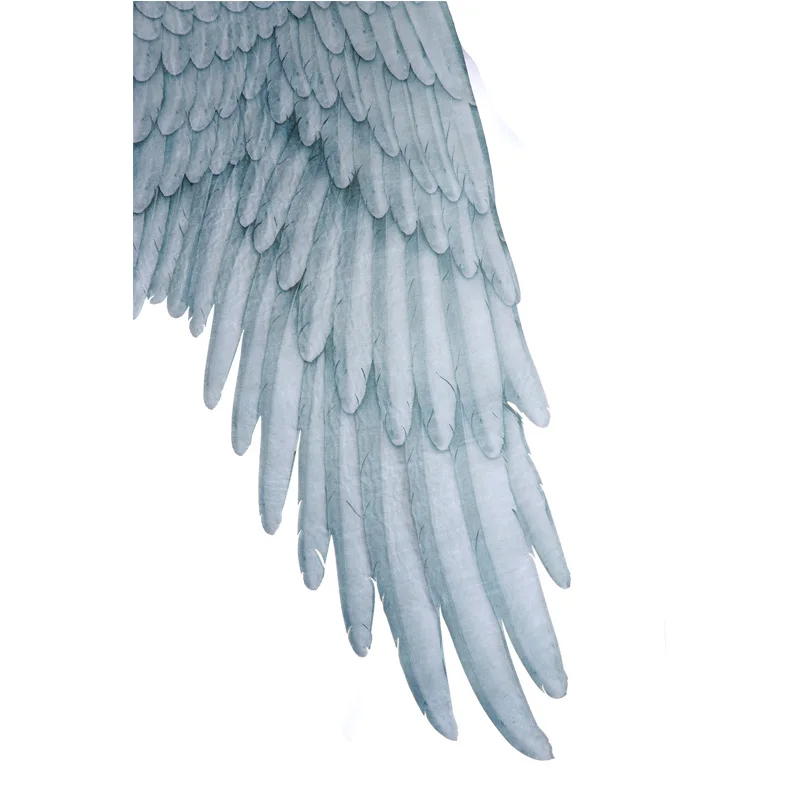 Halloween 3D Angel Devil Big Wings Large Black Costume Mardi Gras Theme Party Cosplay Accessories of Kid Adult Children - купить по