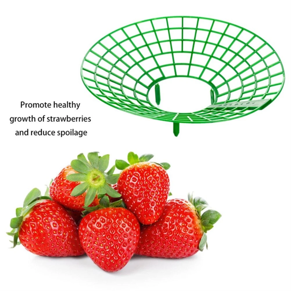 

Strawberry Holder Strawberry Plant Stands to Keep Fruit Elevated to Prevent Rot Vegetable Stand for Balcony Garden