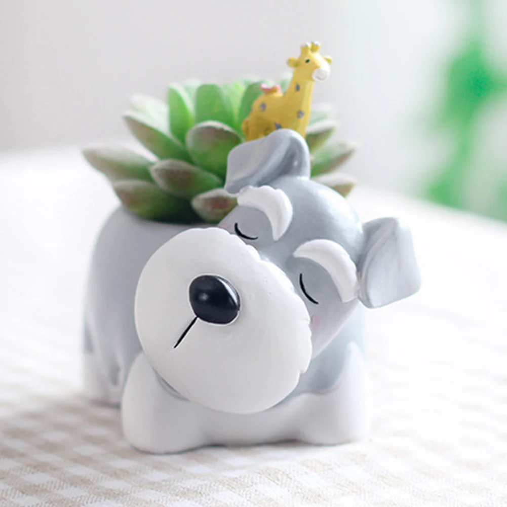 Мультипликационные животные Собаки Настольный суккулент растения Цветочный