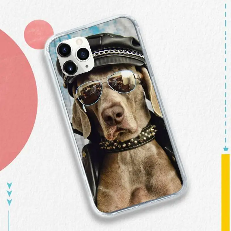 

Weimaraner dog funny animal pattern Anti-fall mobile Phone Case for iPhone 11 12 pro XS MAX 8 7 6 6S Plus X 5S SE 2020 XR