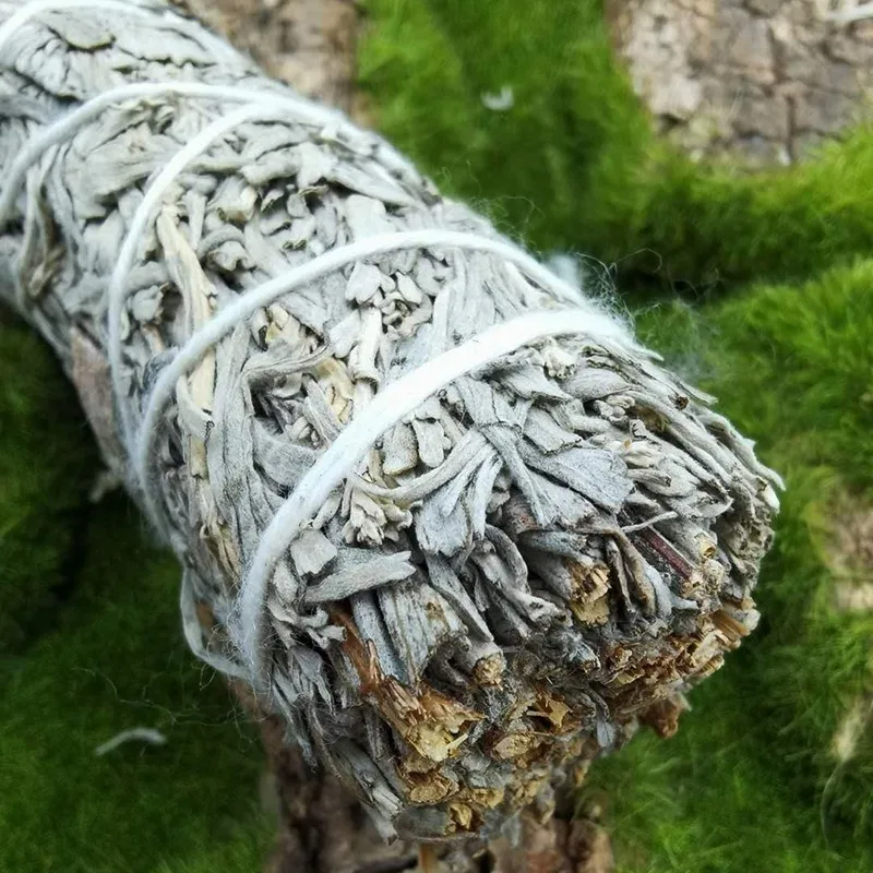 Дезинфекция дезинфекция стерилизация очистка отрицательная энергия | Дом и сад