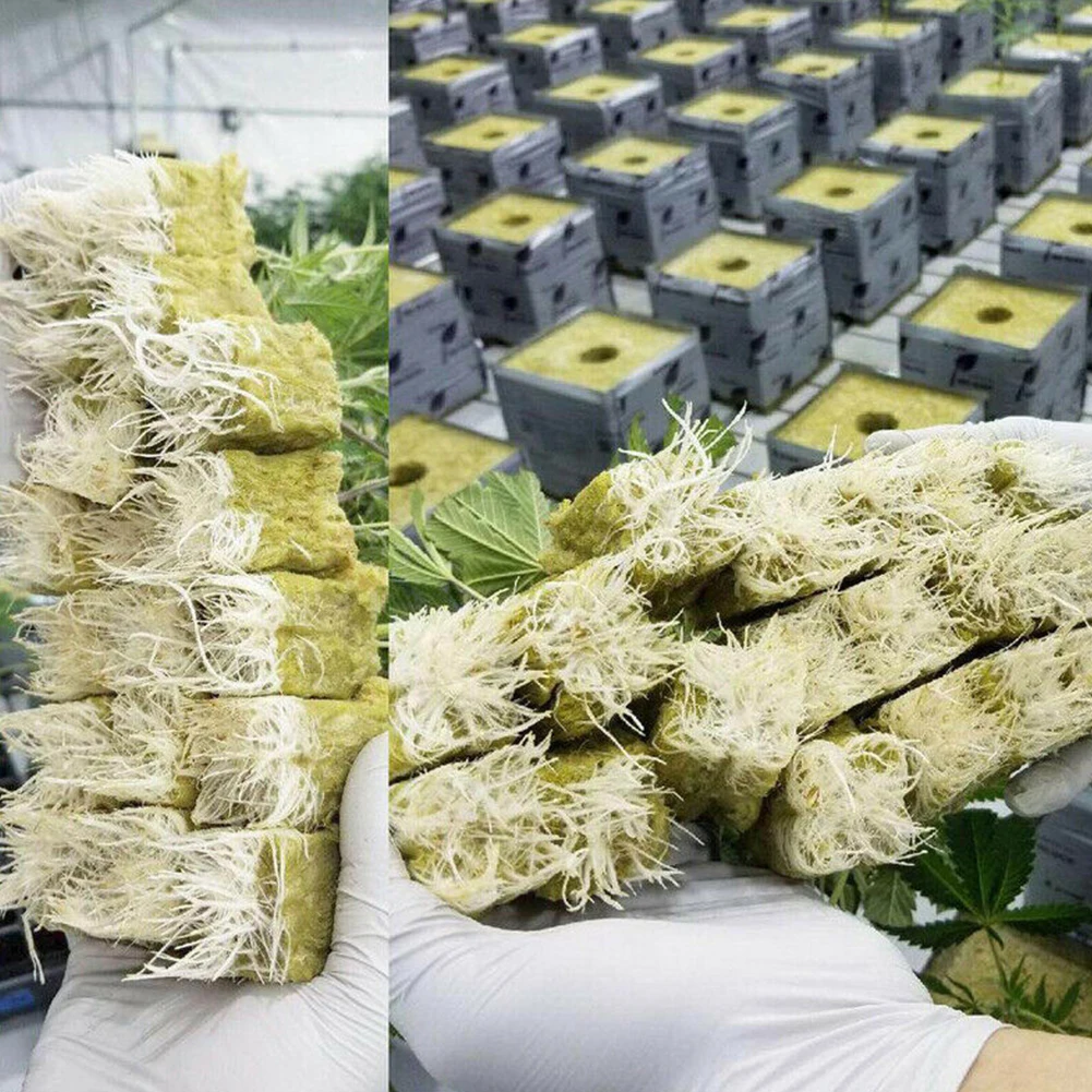 25x25x40 мм блоки компресс база посадки Soilless выращивание гидропоники растут вегетационные кубики медиа практичные теплицы