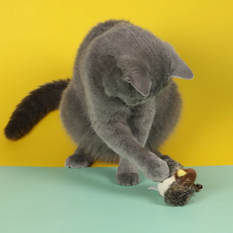

Cat Toys Animal Simulation with Built-in Microphone Bird