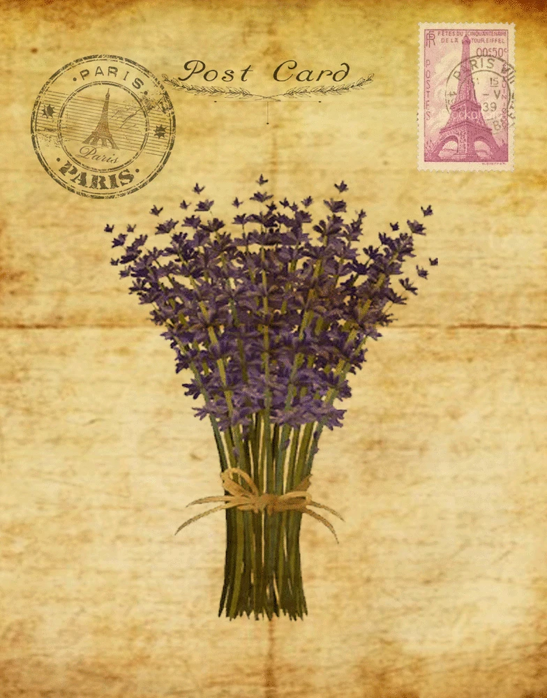 

VINTAGE GARDEN LAVENDER METAL TIN SIGN POSTER WALL PLAQUE