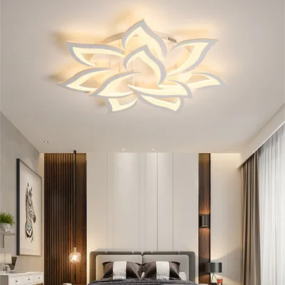 

Northern Europe living room lamp simple modern atmosphere hall lamp new personality creative master bedroom led ceiling lamp