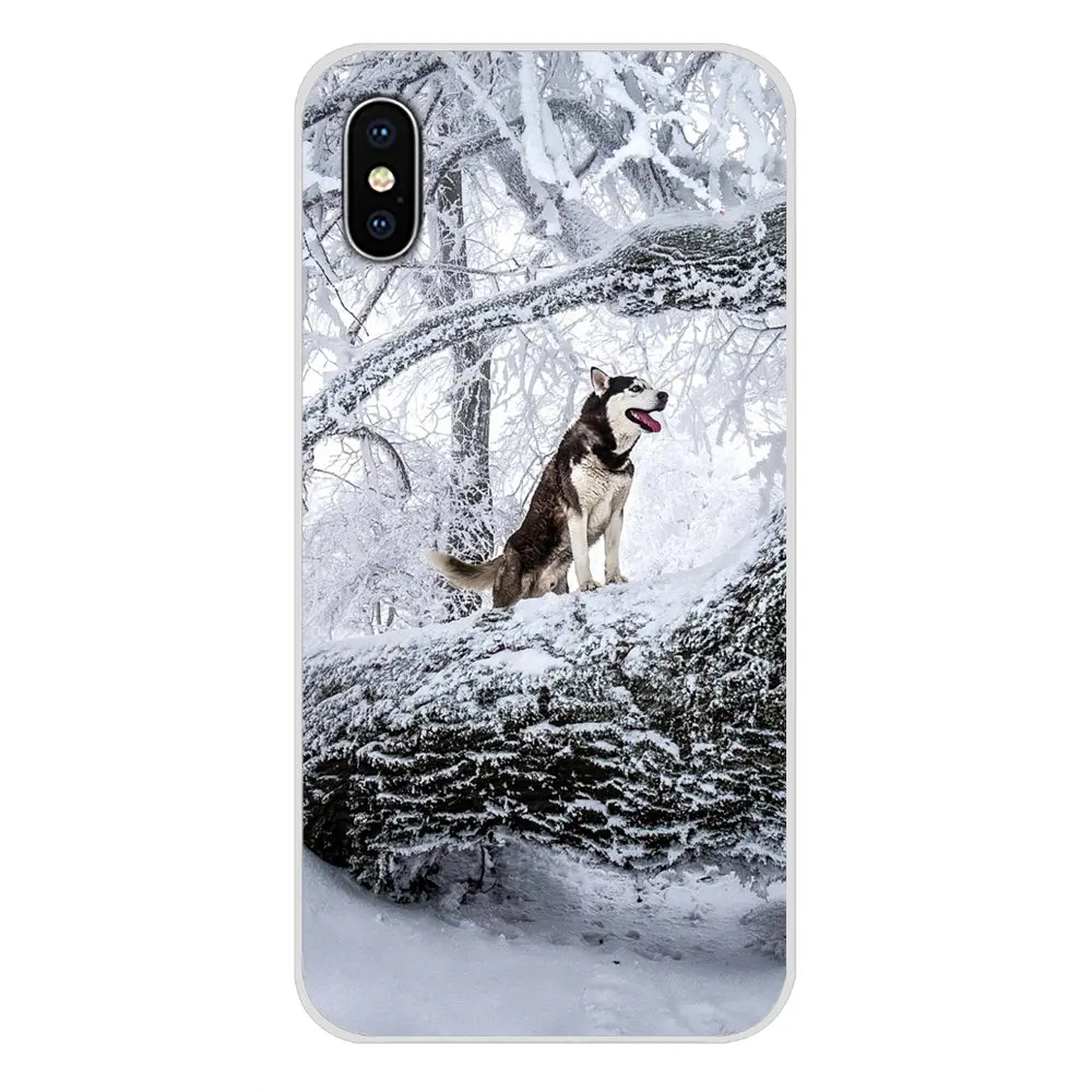 Чехол для телефона с изображением Аляски и маламута Samsung Galaxy S2 S3 S4 S5 Mini S6 S7 Edge S8 S9 S10E