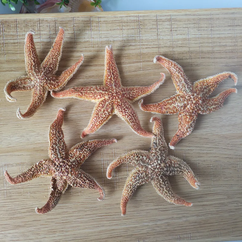 5 шт. натуральная морская звезда шипы Морская звезда высушенные особи Бэйдайхэ оболочки Средиземноморский Стиль Свадебные украшения